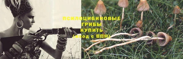 кокаин премиум Заводоуковск