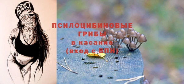 кокаин премиум Заводоуковск