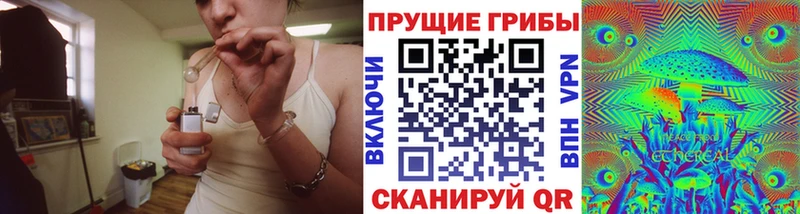 Купить где  Сальск  Галлюциногенные грибы Psilocybe 